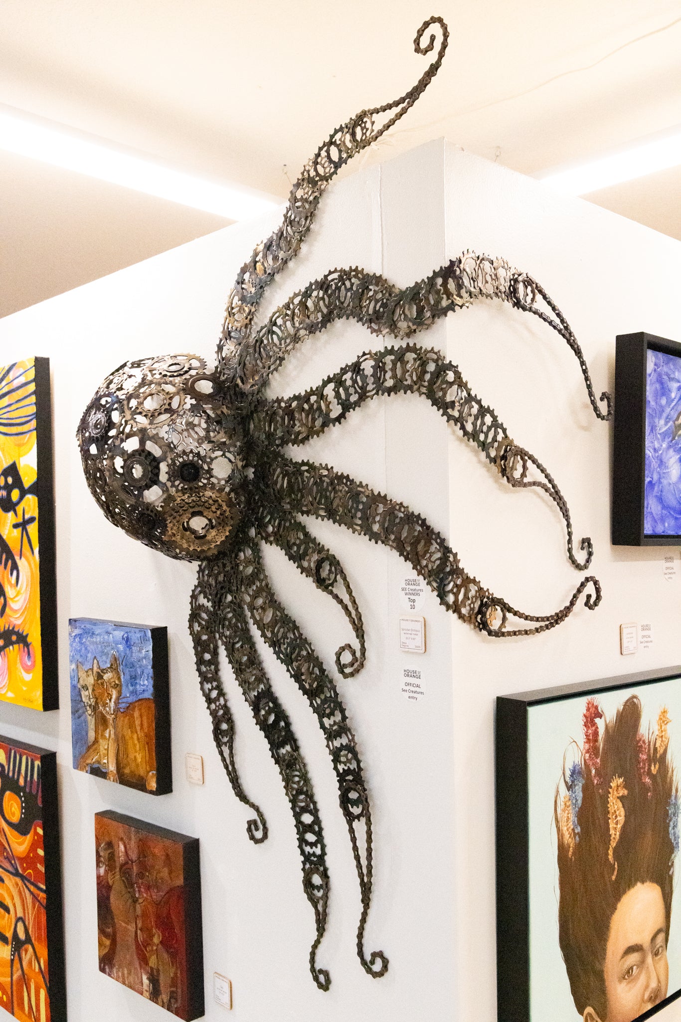 Sprocto-Octo-pus