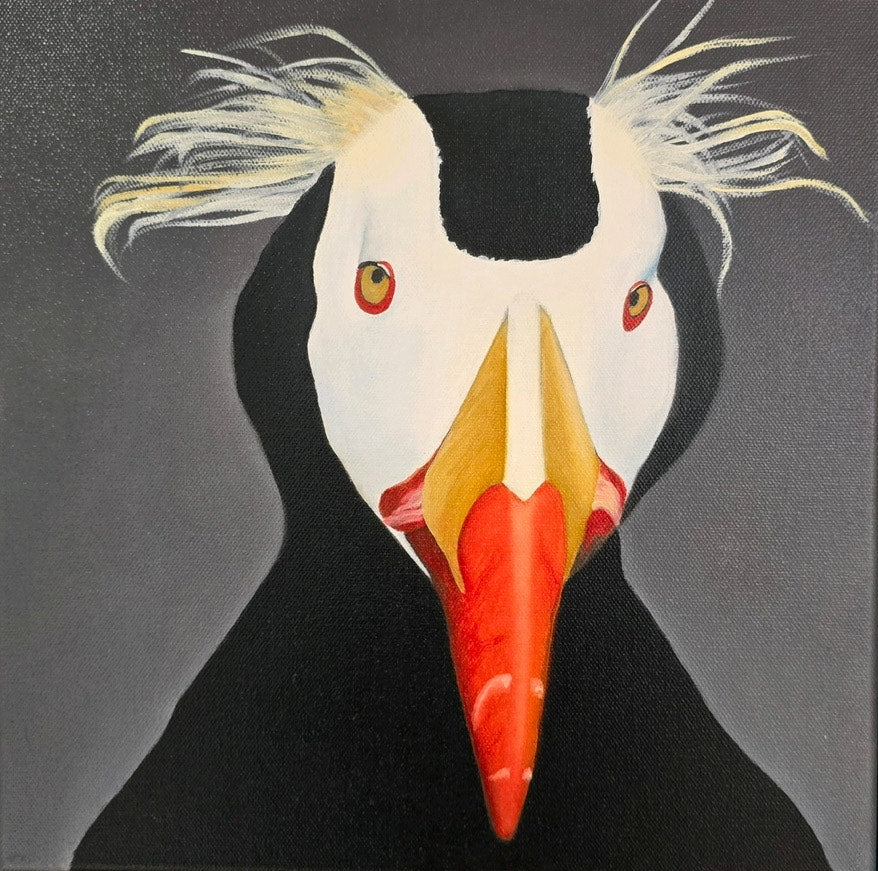 Puffins with Personality