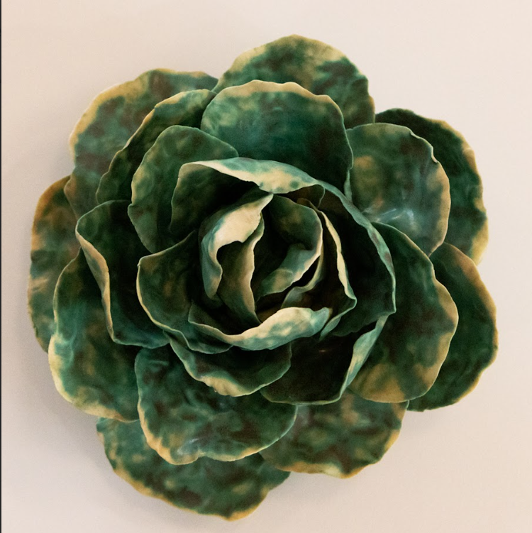 Sea Cabbage