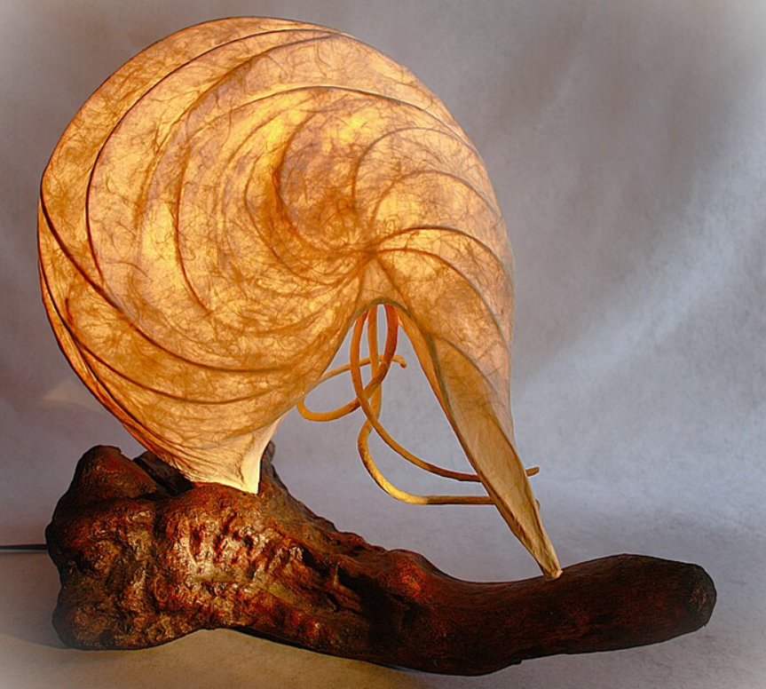 Nautilus