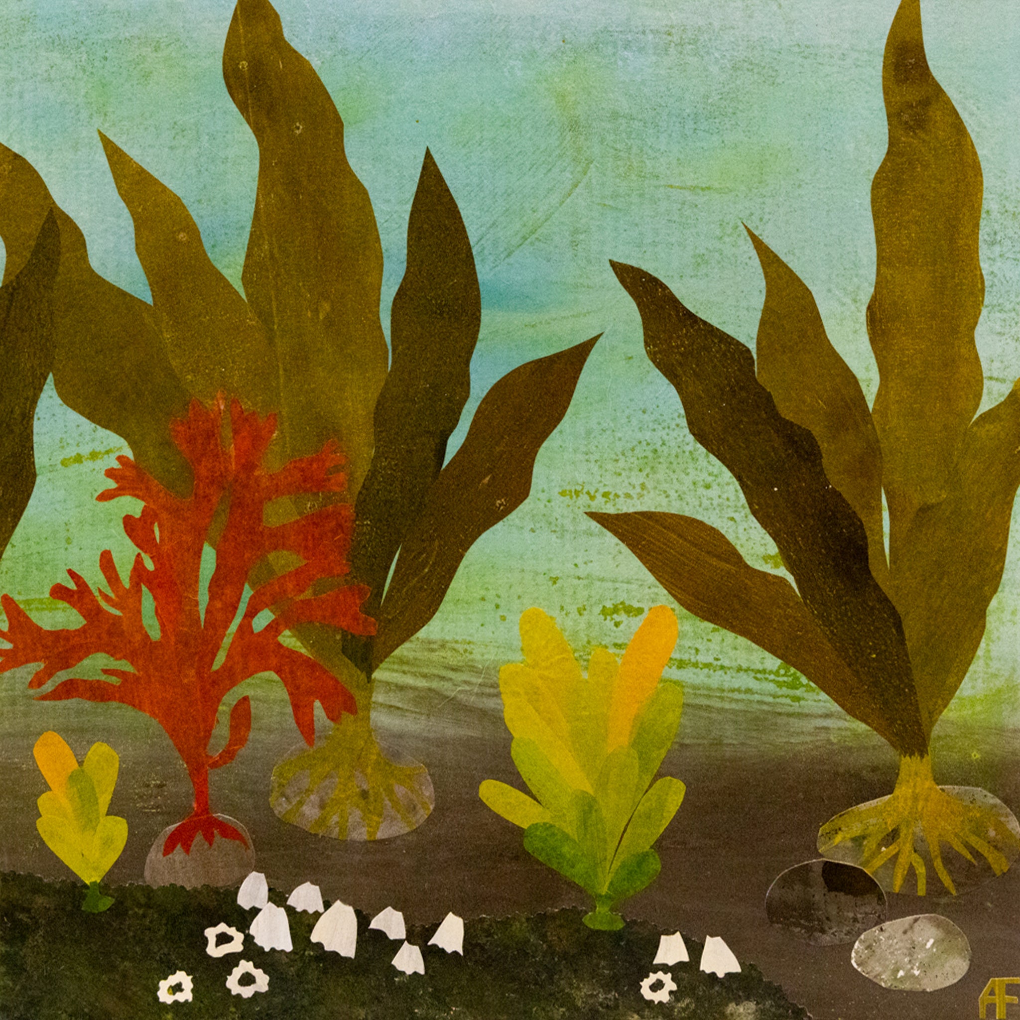 Intertidal Party