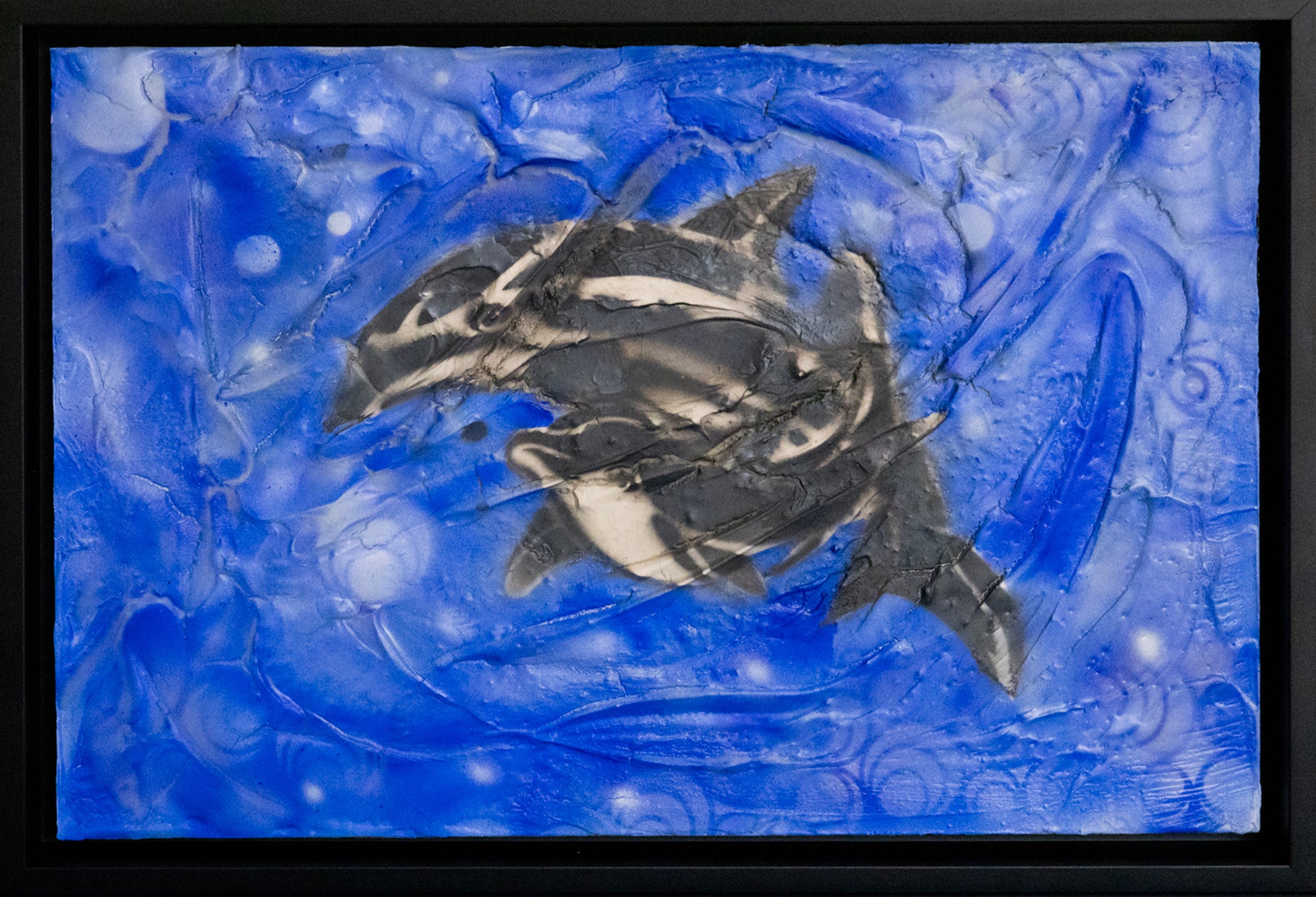 Porpoise with a Purpose