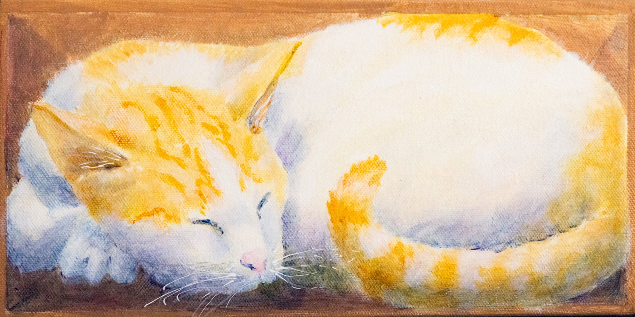 Cats in Boxes #3