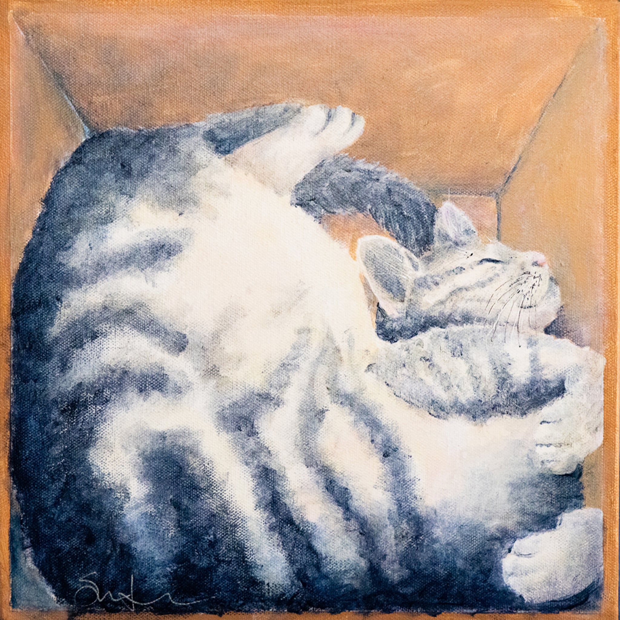 Cats in Boxes #1