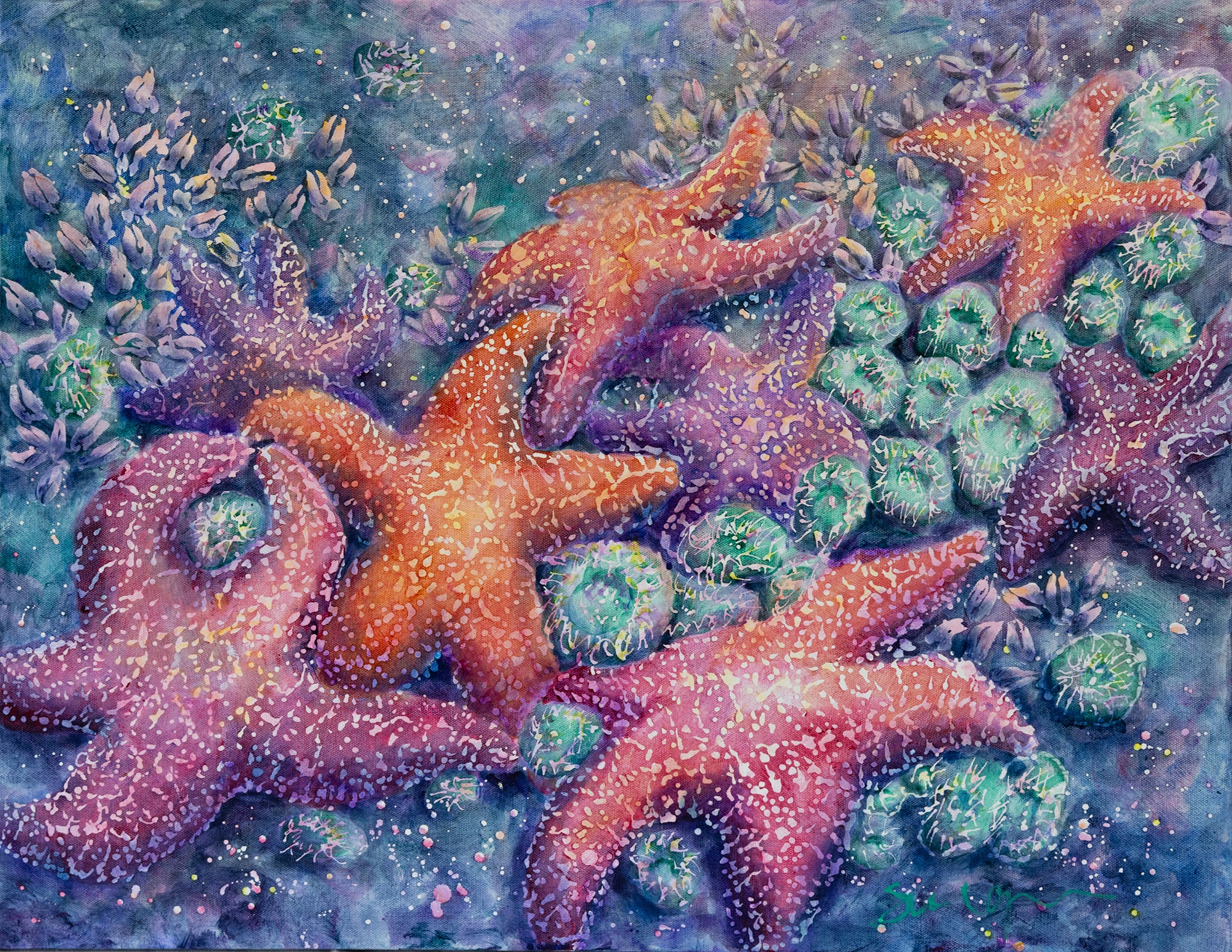 Galaxy of Sea Stars