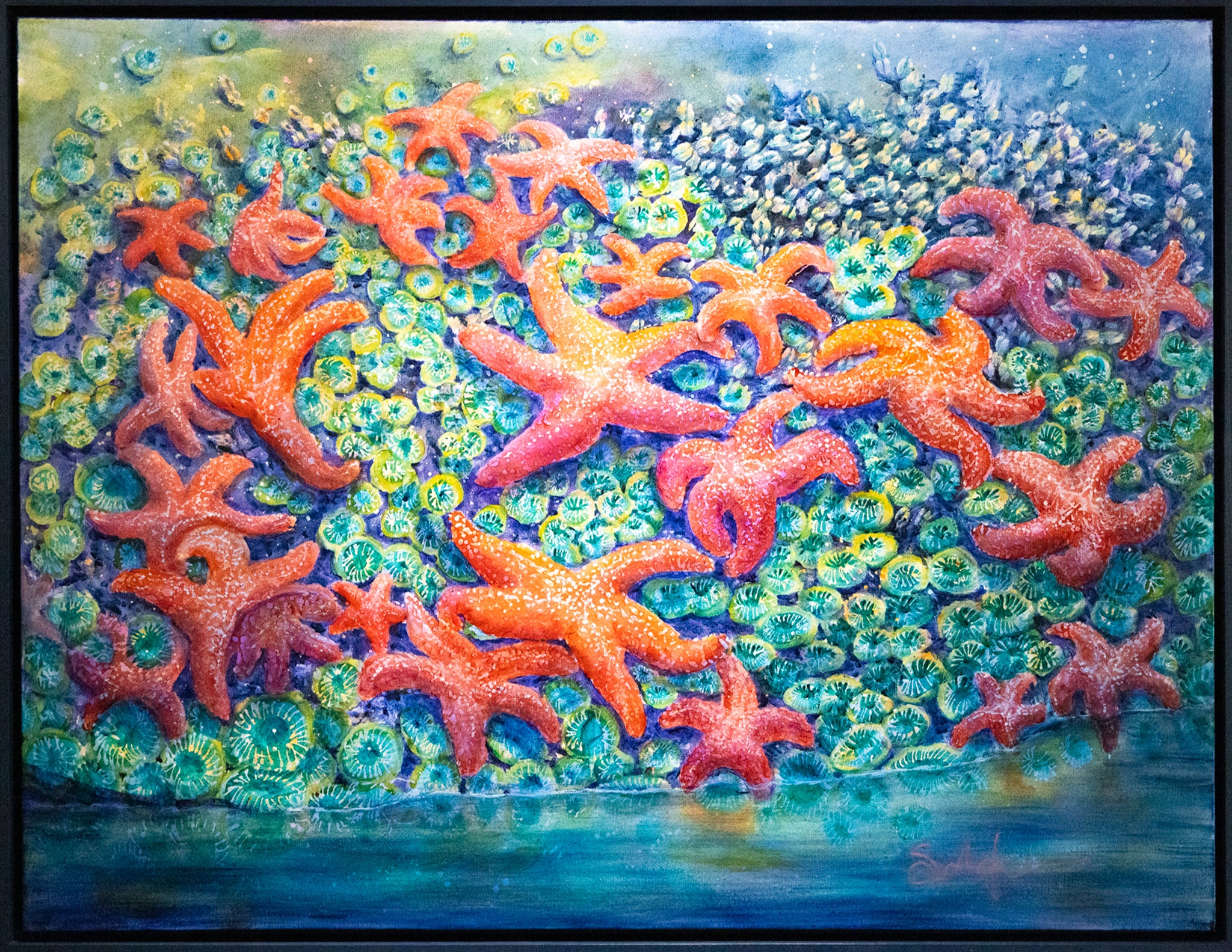 Sea Star Slow Dance