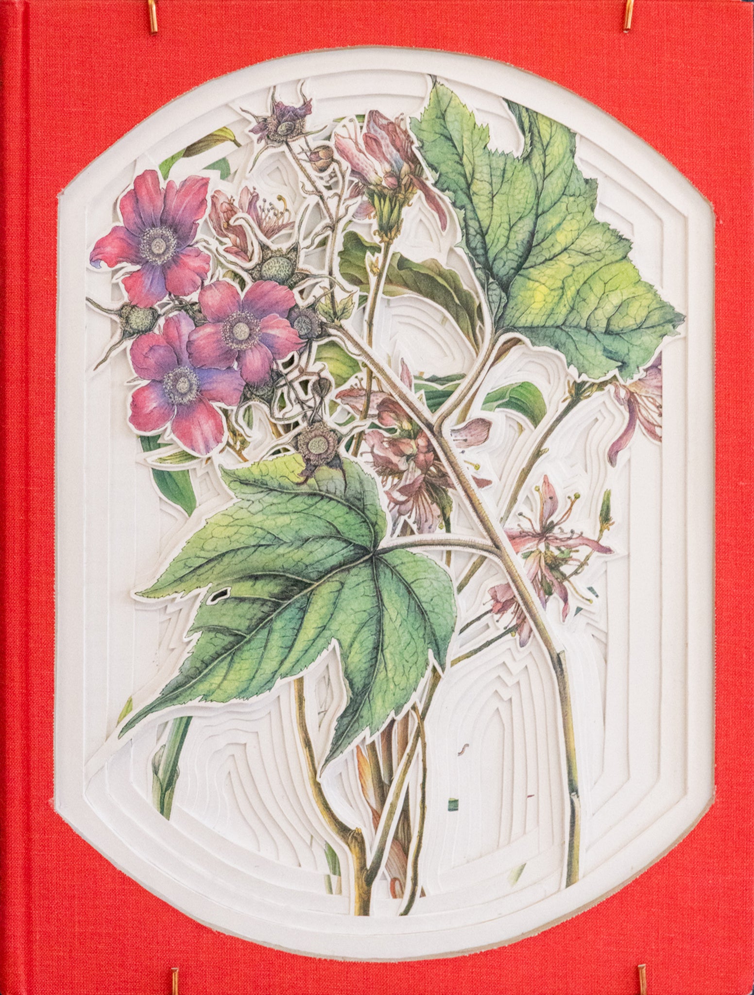 Wildflowers for all Seasons